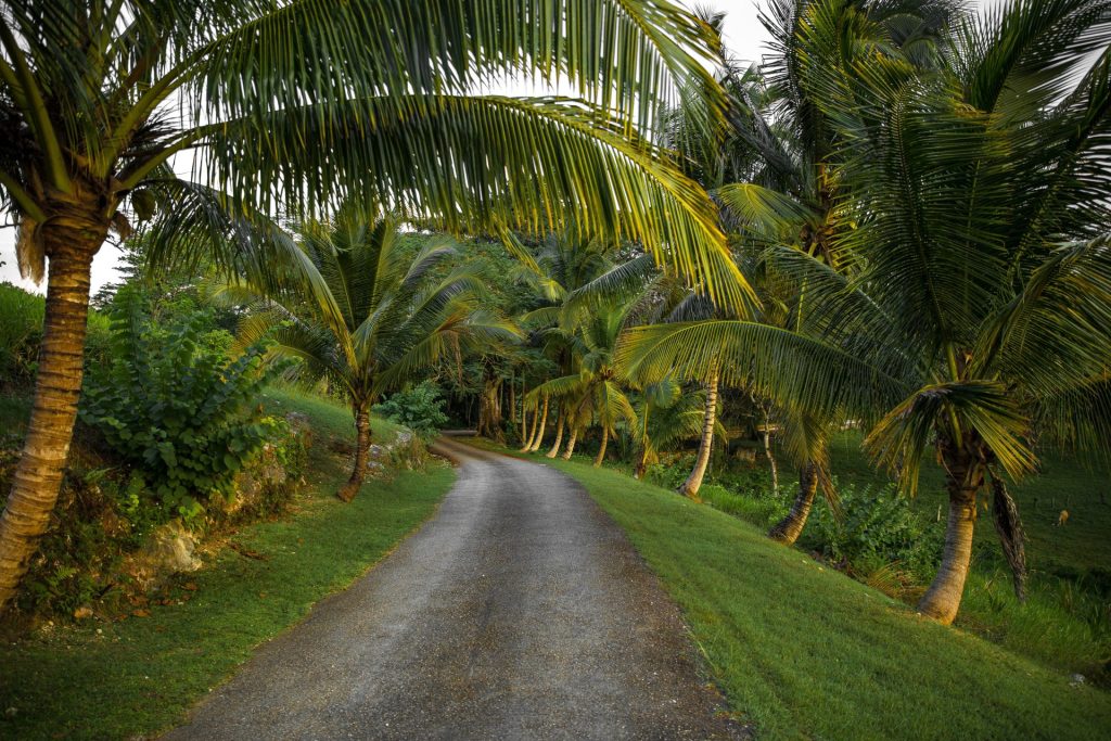 Jamaica