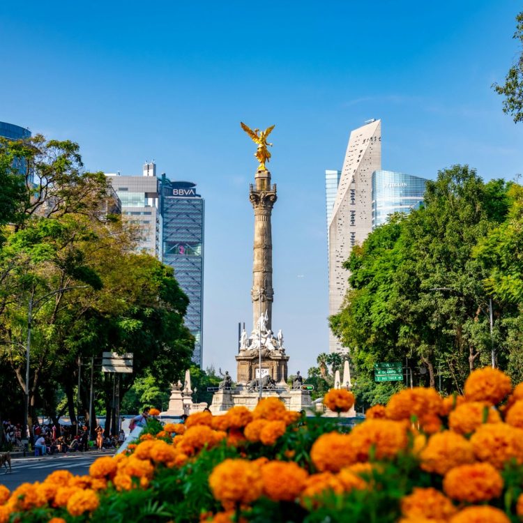 Descubre los 15 mejores lugares turísticos de la Ciudad de México ...